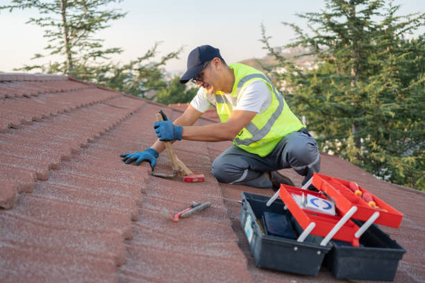Professional Roofing Contractor in Mill Valley, CA